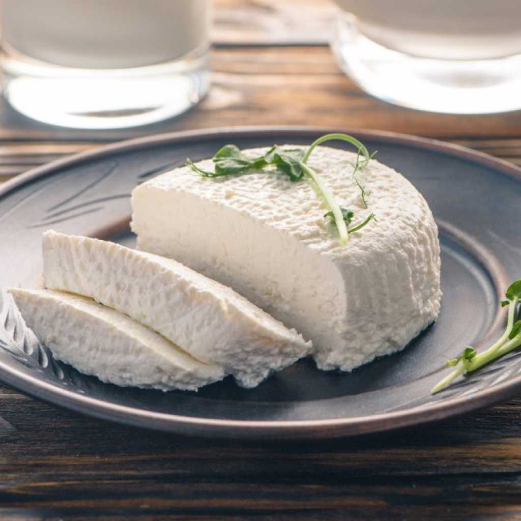 Article : Fromage maison – Délicieux, sain et très simple