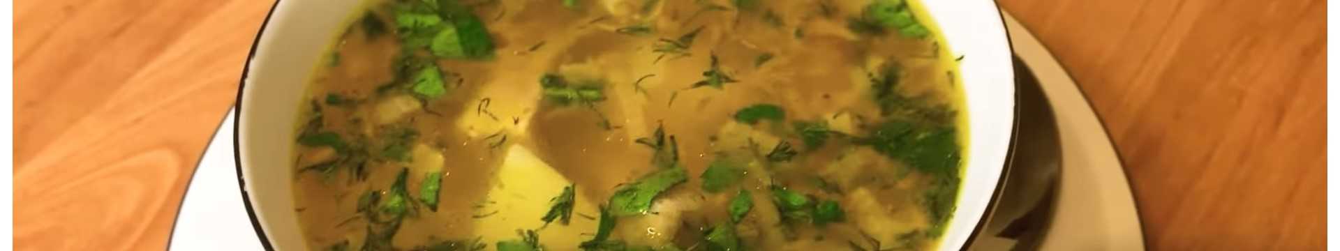 soupe de porc classique