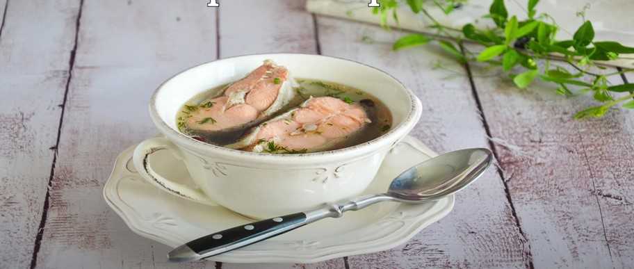 Recette : Soupe de poisson rouge