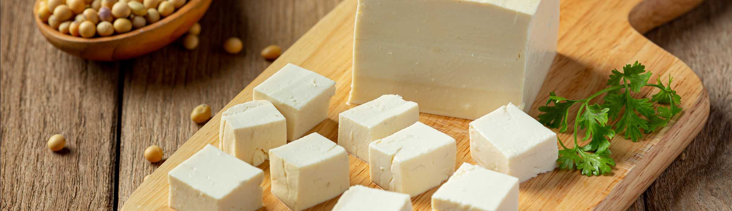 fromage paneer fait maison