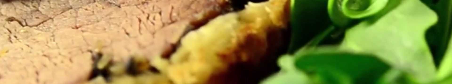 Bœuf Wellington cuit au four