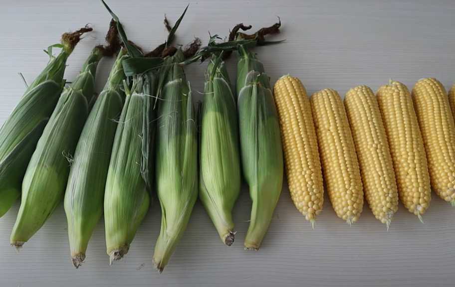 Recette : Conserves de maïs