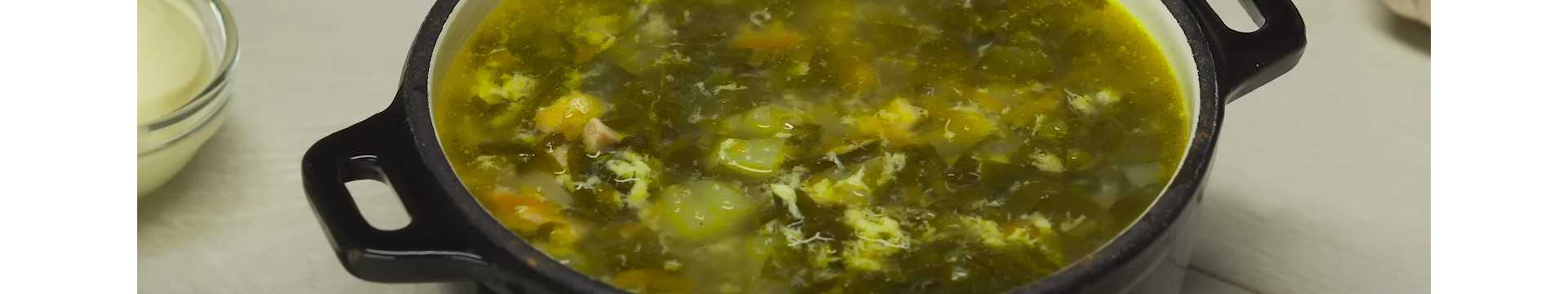 Soupe classique à l'oseille, aux œufs et au poulet