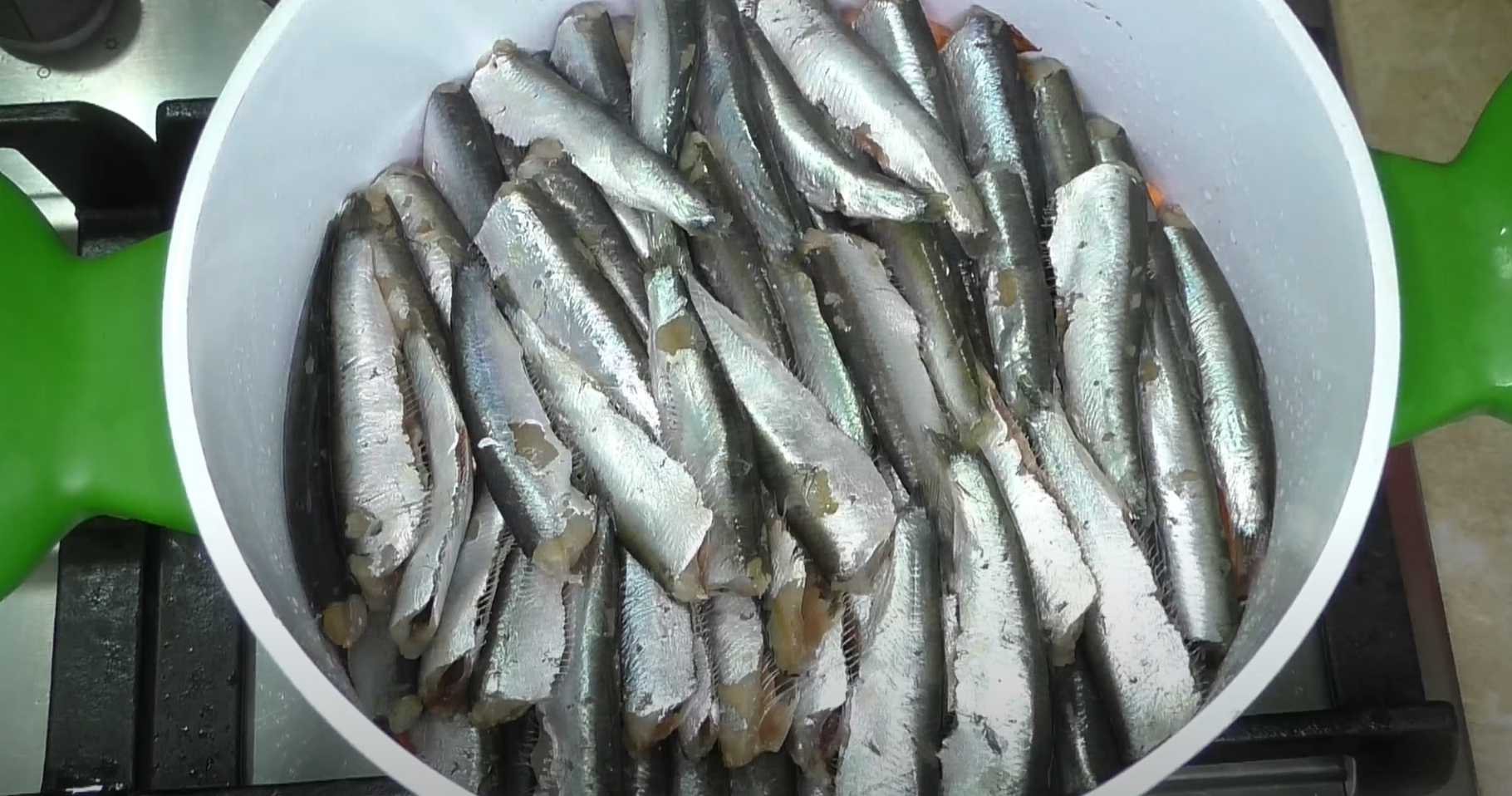 Sprats à la sauce tomate - Étape 8