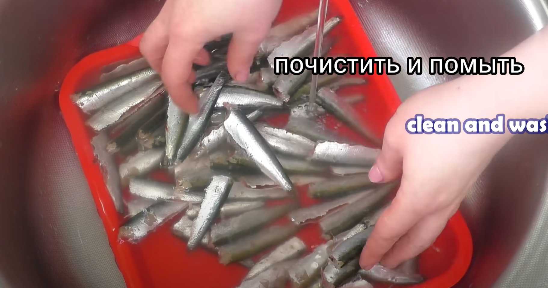 Sprats à la sauce tomate - Étape 2