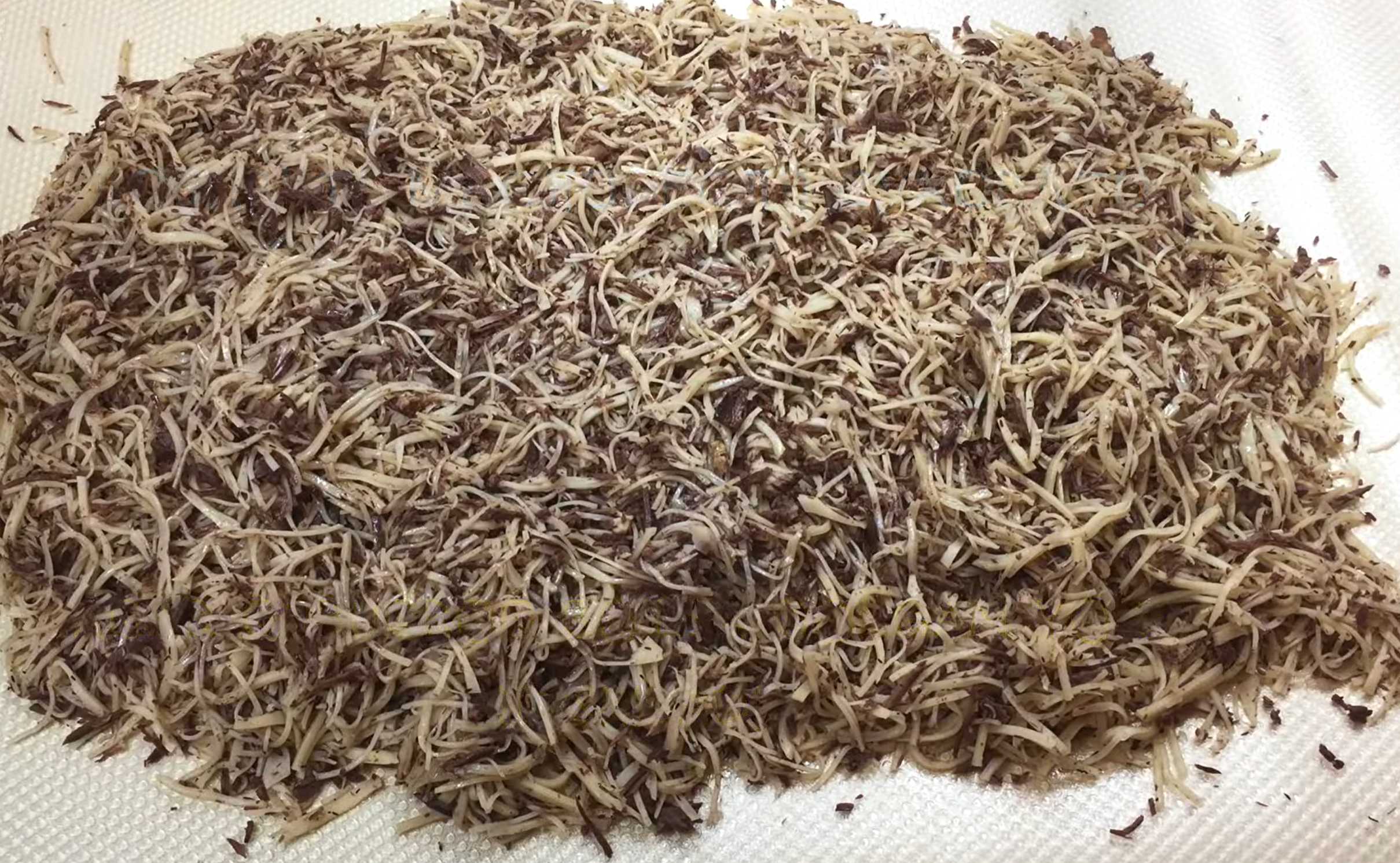 Naryn à Tachkent - Étape 20