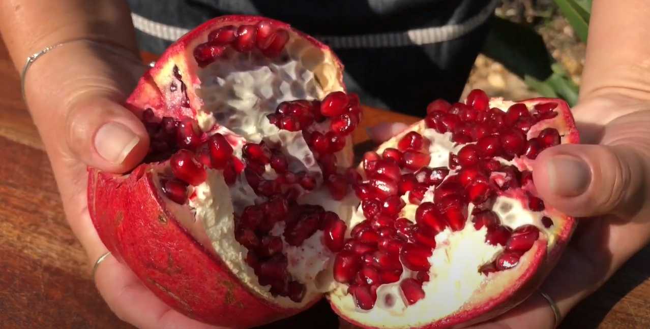 Salade du Nouvel An au poulet et aux fruits - Étape 7