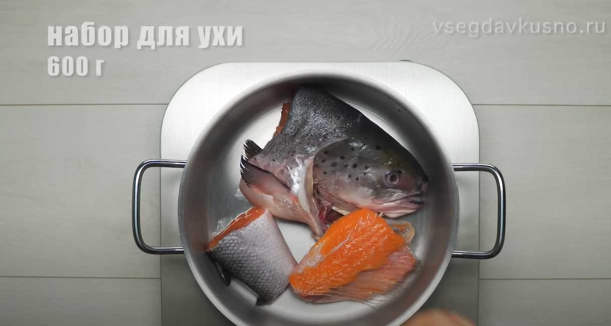 Soupe au saumon - Étape 1