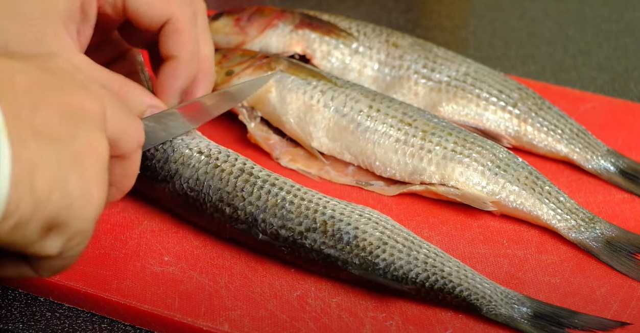 Mulet de Crimée - Étape 1