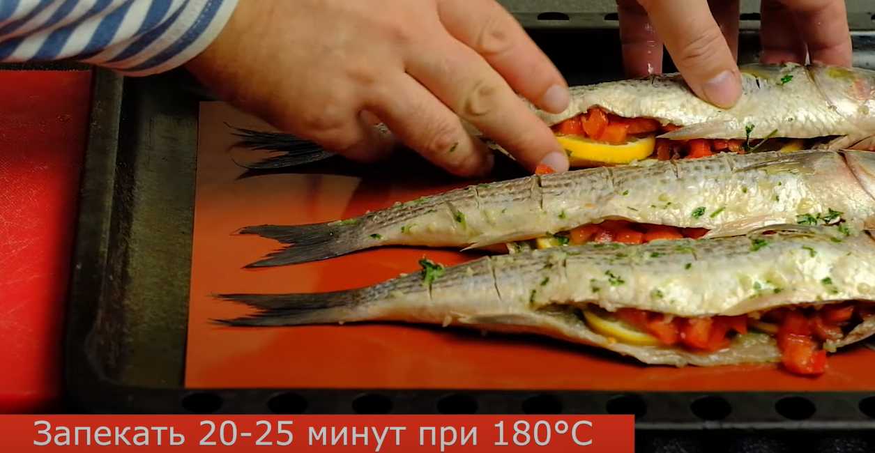 Mulet de Crimée - Étape 8