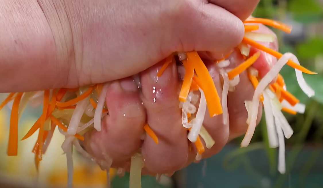 Rouleaux de printemps - Étape 4