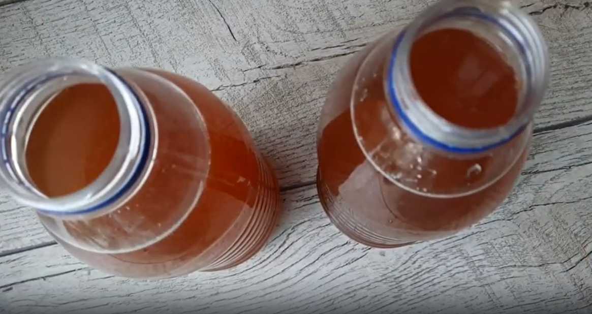 Kvas de pain Okroshka maison - Étape 10