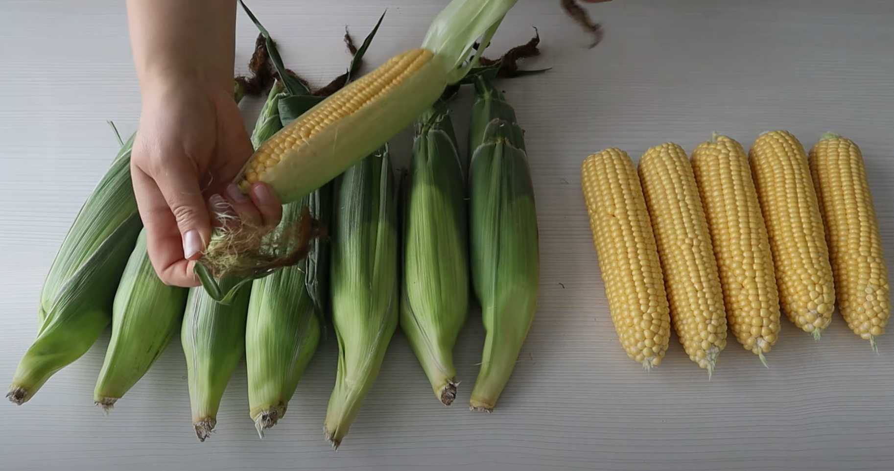 Mise en conserve du maïs - Étape 1