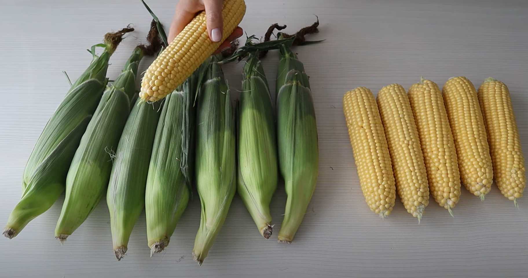 Mise en conserve du maïs - Étape 2