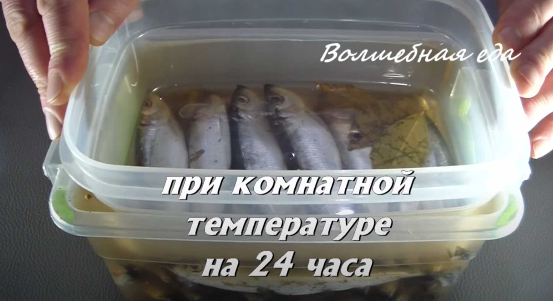 Hareng de la Baltique mariné épicé - Étape 8