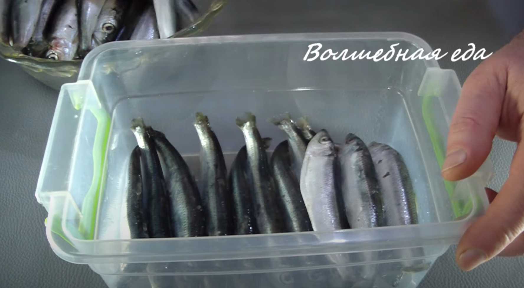 Hareng de la Baltique mariné épicé - Étape 2