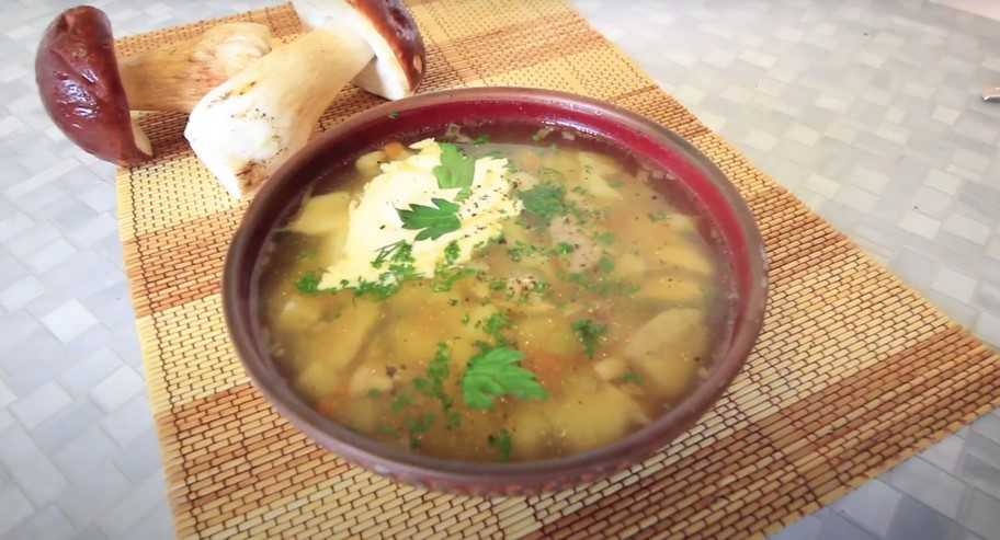 Recette : Soupe aux cèpes et vermicelles